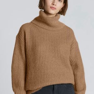 Everlane Oversized Alpaca Turtleneck